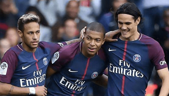 本能选项 本能选项