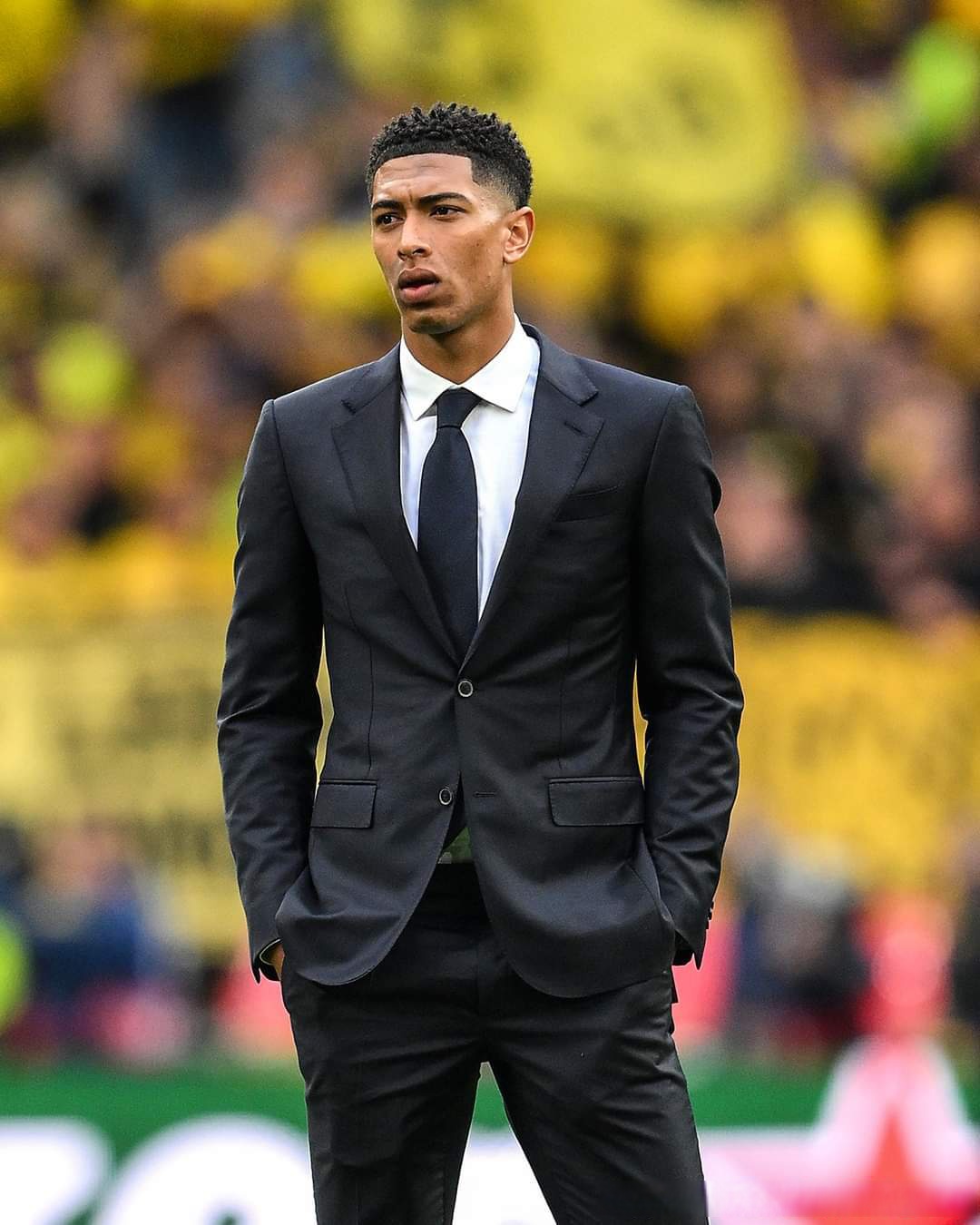 算法识别高 算法识别高